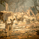 Imagen para el artículo titulado Camp Fire ya es el incendio más mortal en la historia de California, y los números pueden crecer todavía más
